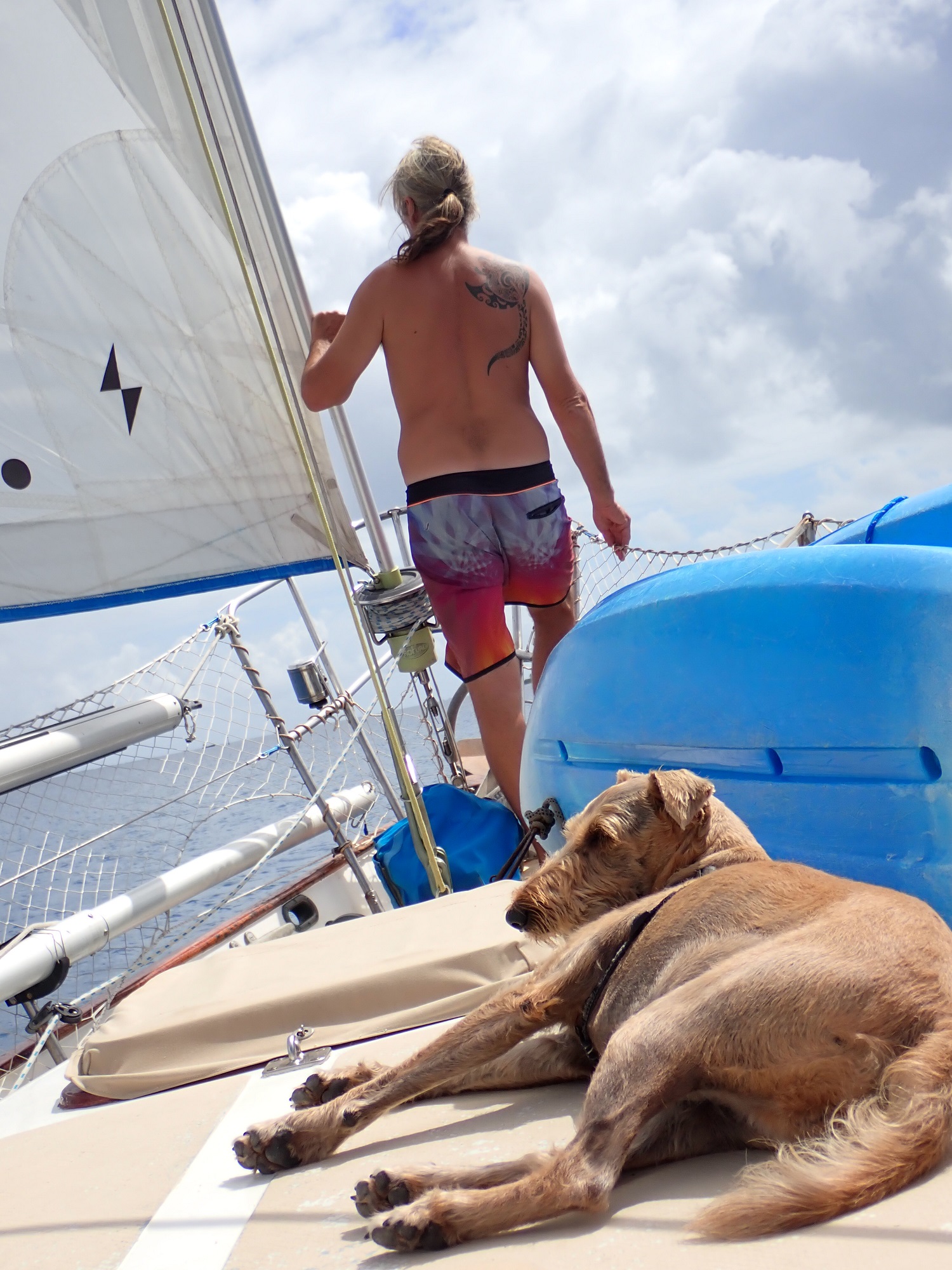 It S A Dogs Life Sailing Around The World With Spirit Of Argo
